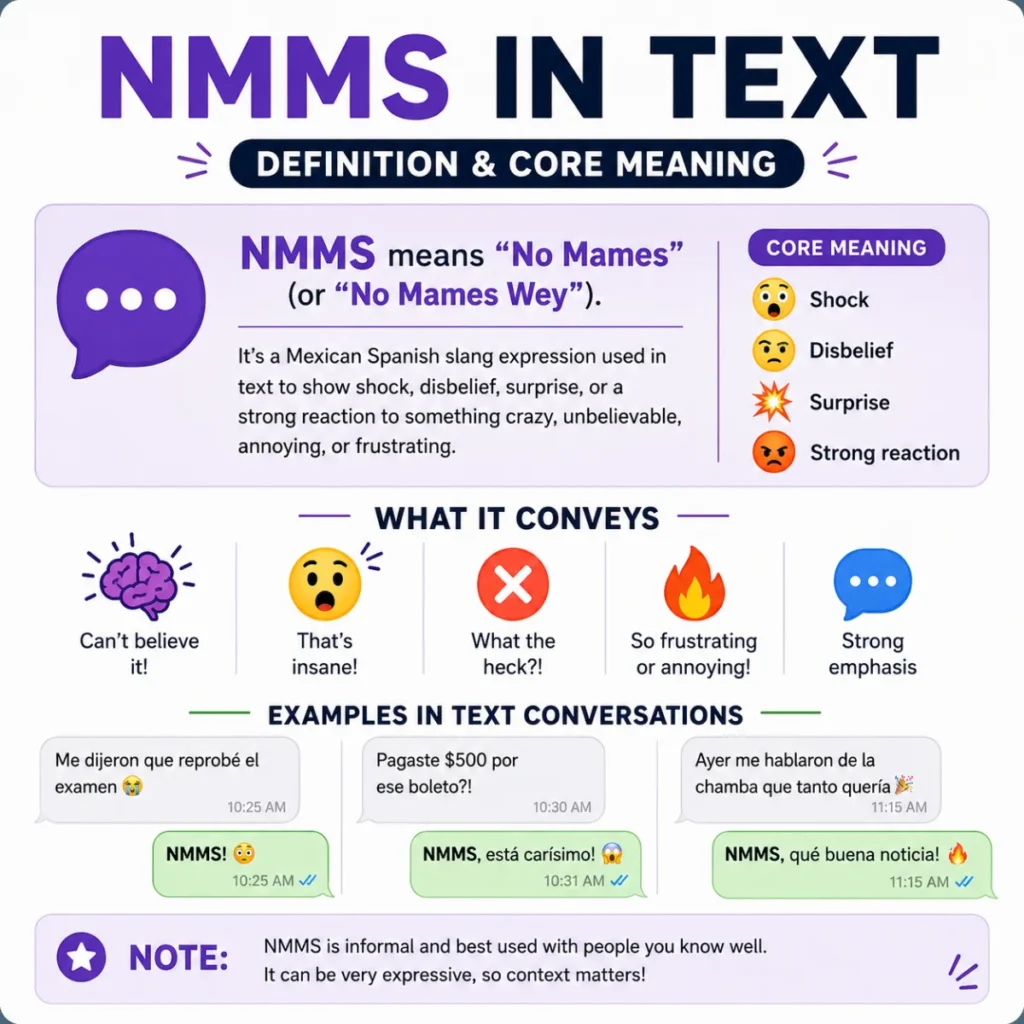 Definition & Core Meaning of NMMS in Text