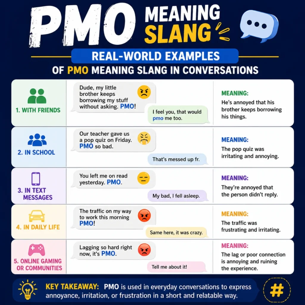 Real-World Examples of pmo meaning slang in Conversations