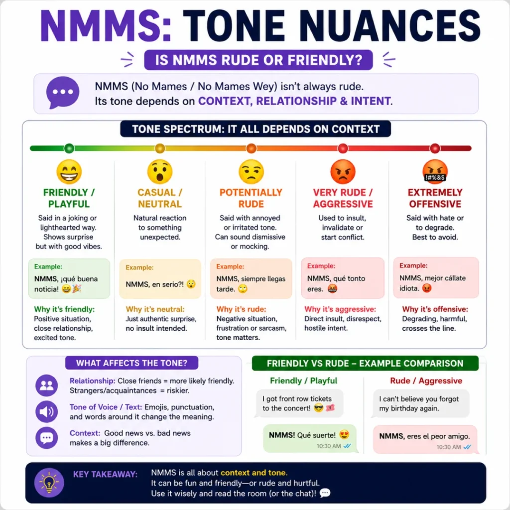 Tone Nuances: Is NMMS Rude or Friendly?