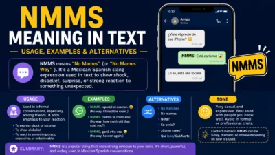 What Does nmms meaning in text Mean in Text? Usage, Examples & Alternatives