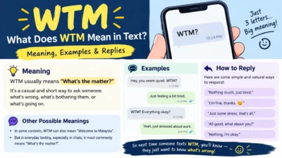 WTM meaning in text with examples and casual replies shown in a modern messaging infographic